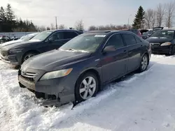 Clean Title Cars for sale at auction: 2009 Toyota Camry Hybrid