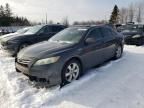 2009 Toyota Camry Hybrid