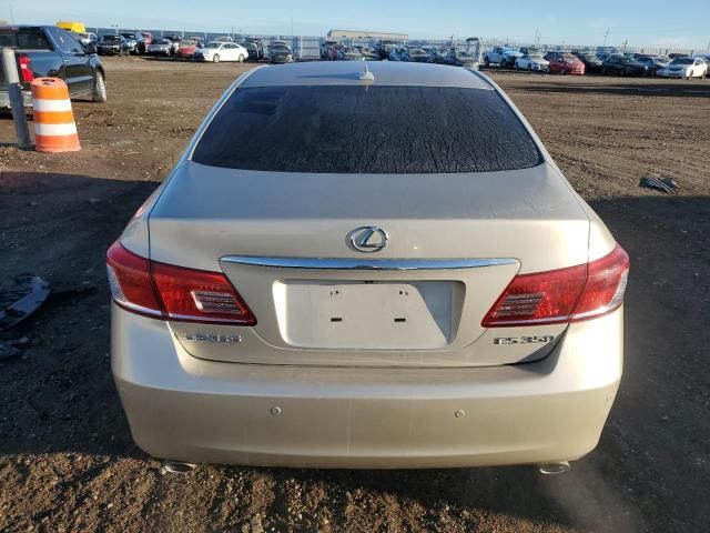 2010 Lexus ES 350