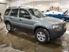 2007 Ford Escape XLT