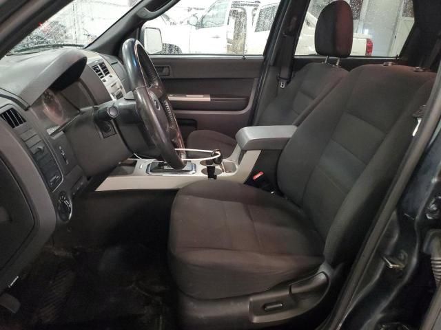 2009 Ford Escape XLT