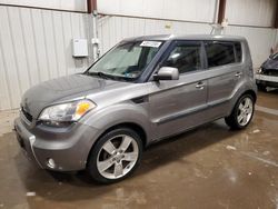 Salvage cars for sale at Pennsburg, PA auction: 2011 KIA Soul +