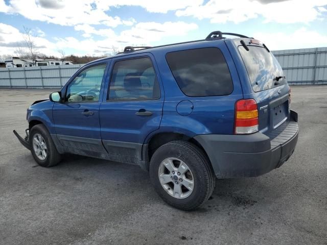 2007 Ford Escape XLT