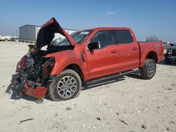 Ford salvage cars for sale: 2023 Ford F150 Supercrew