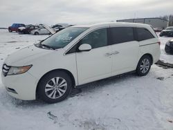 Salvage cars for sale at Wayland, MI auction: 2017 Honda Odyssey EXL