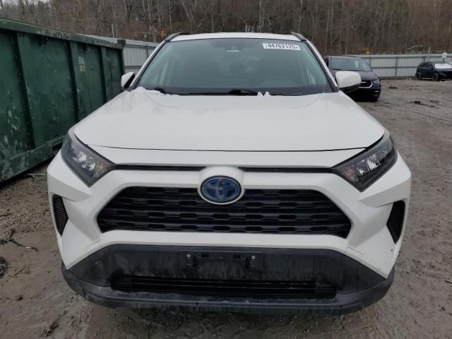 2019 Toyota Rav4 LE