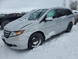 Salvage cars for sale at London, ON auction: 2014 Honda Odyssey EX