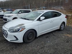 Hyundai Elantra Vehiculos salvage en venta: 2017 Hyundai Elantra SE