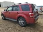 2008 Ford Escape Limited