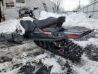 2019 Skidoo 2019 Skidoo Renegade