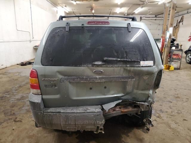 2007 Ford Escape XLT