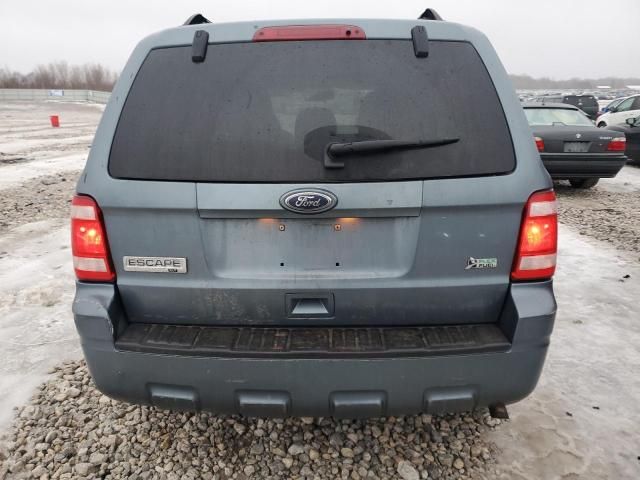 2010 Ford Escape XLT