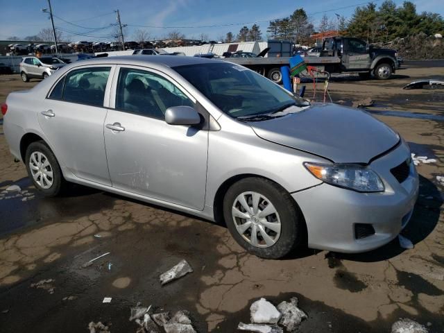 2010 Toyota Corolla Base