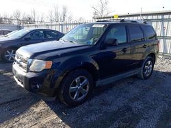 2011 Ford Escape Limited en venta en Walton, KY