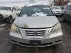 2009 Honda Odyssey EXL