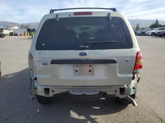 2006 Ford Escape XLT