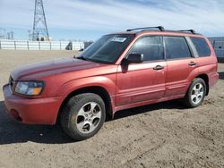 Salvage cars for sale at Adelanto, CA auction: 2004 Subaru Forester 2.5XS