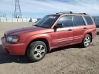 2004 Subaru Forester 2.5XS