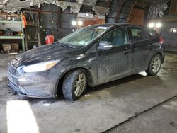 Ford salvage cars for sale: 2018 Ford Focus SE