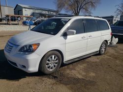 Salvage cars for sale from Copart Albuquerque, NM: 2009 Honda Odyssey EXL