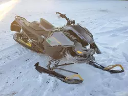 Salvage cars for sale from Copart Appleton, WI: 2025 Skidoo 2025 Skidoo Renegade