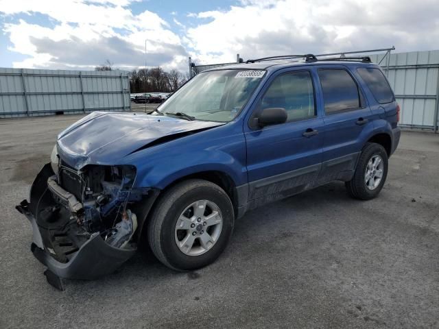 2007 Ford Escape XLT