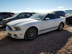 Salvage cars for sale at Phoenix, AZ auction: 2013 Ford Mustang