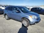 2007 Honda CR-V EX