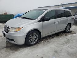 Honda Odyssey exl Vehiculos salvage en venta: 2011 Honda Odyssey EXL