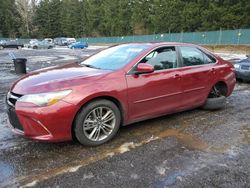 Salvage cars for sale at Graham, WA auction: 2016 Toyota Camry LE