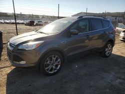 Clean Title Cars for sale at auction: 2015 Ford Escape SE