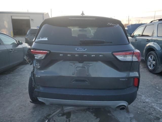 2020 Ford Escape SE Sport