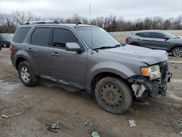 2009 Ford Escape Limited