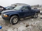 2004 Dodge Dakota SXT