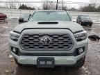 2023 Toyota Tacoma Double Cab