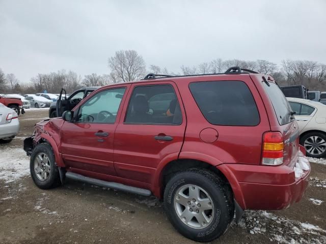 2007 Ford Escape XLT