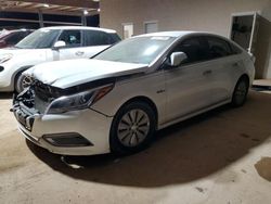 Carros salvage a la venta en subasta: 2016 Hyundai Sonata Hybrid