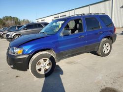 Salvage cars for sale at Gaston, SC auction: 2005 Ford Escape XLT