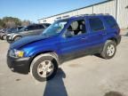 2005 Ford Escape XLT