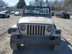 2001 Jeep Wrangler / TJ SE