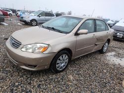 Salvage cars for sale at Magna, UT auction: 2004 Toyota Corolla CE