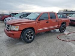 Dodge Dakota Quad slt Vehiculos salvage en venta: 2008 Dodge Dakota Quad SLT