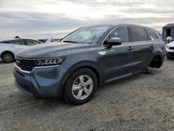 Salvage cars for sale at Antelope, CA auction: 2023 KIA Sorento LX