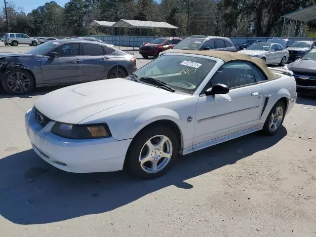 2004 Ford Mustang