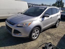 Salvage cars for sale at Antelope, CA auction: 2013 Ford Escape SE