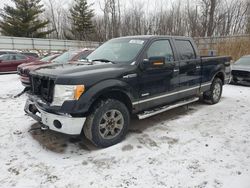 Salvage cars for sale at Davison, MI auction: 2011 Ford F150 Supercrew