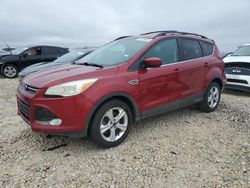 Salvage cars for sale at Taylor, TX auction: 2015 Ford Escape SE