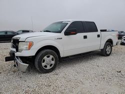 Salvage cars for sale at Taylor, TX auction: 2013 Ford F150 Supercrew