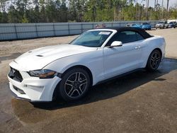 Salvage cars for sale at Harleyville, SC auction: 2019 Ford Mustang