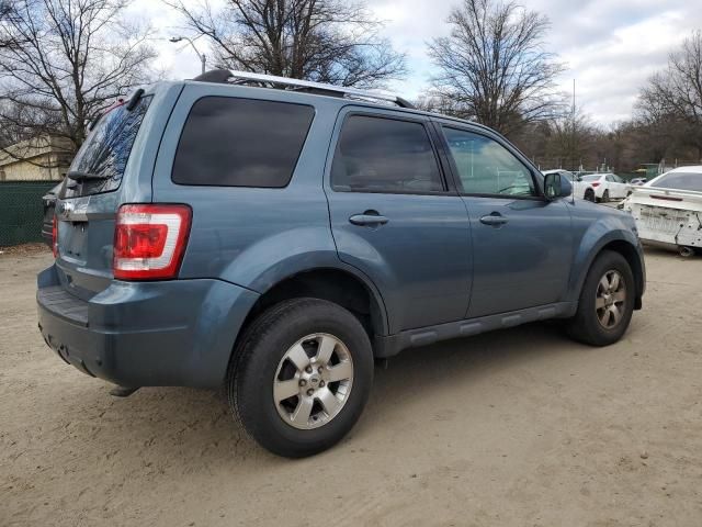 2011 Ford Escape Limited